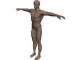 Man 3D Model preview