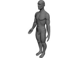 Man 3D Model preview