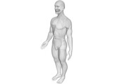Man 3D Model