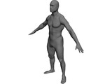 Man Body International 3D Model preview
