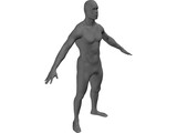 Man Body International 3D Model