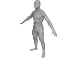 Man Body International 3D Model