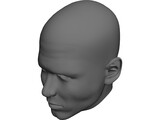 Man Head 3D Model preview