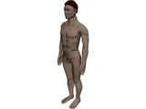 Man with Internal Organs 3D Model preview