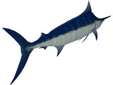 Marlin Blue 3D Model