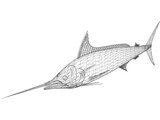 Marlin 3D Model