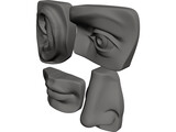 Michelangelo 3D Model preview