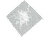 Mount Rainier 3D Model