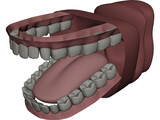 Mouth 3D Model preview