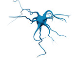 Neuron 3D Model preview