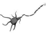 Neuron 3D Model preview