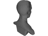 Nikola Tesla Bust 3D Model