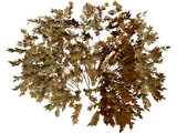 Onyx Bush 3D Model preview