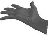 Open Hand 3D Model