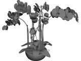 Orchid 3D Model preview