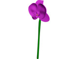 Orchid Flower 3D Model preview