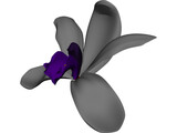 Orchid 3D Model preview
