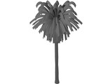 Palm Tree 3D Model