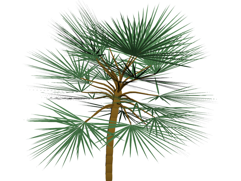 Palm 3D Model