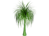 Palmera 3D Model preview