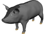 Pig 3D Model preview