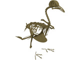 Pigeon Skeleton 3D Model