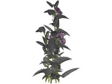 Plant 3D Model