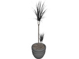 Plant 3D Model preview