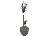 Plant 3D Model