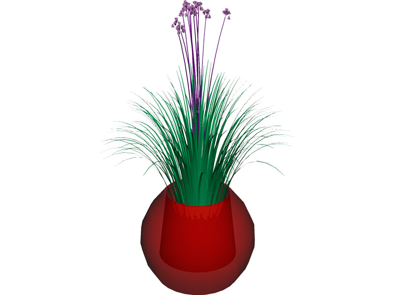 Plant Flower 3D Model