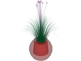 Plant Flower 3D Model