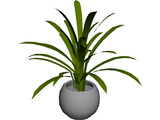 Plant in Pot 3D Model preview