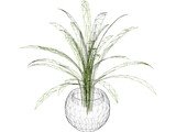 Plant in Pot 3D Model