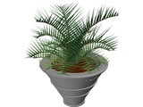 Plant in Vase 3D Model