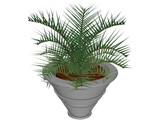 Plant in Vase 3D Model