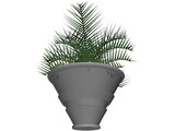 Plant in Vase 3D Model