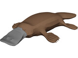 Platypus 3D Model preview