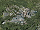 Portland City, OR, USA (2020) 3D Model