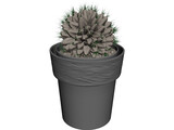 Potted Cactus Plant 3D Model preview