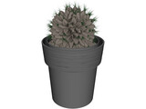 Potted Cactus Plant 3D Model
