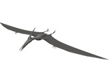 Pteranodon Ingens 3D Model preview