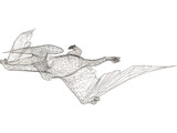 Pterodactyl 3D Model