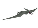 Pterodactyl 3D Model