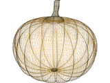 Pumpkin 3D Model