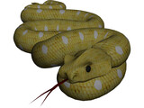 Python 3D Model preview