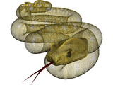 Python 3D Model