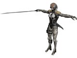 Raiden 3D Model preview
