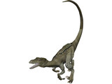 Raptor 3D Model preview