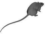 Rat House 3D Model