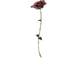Red Rose 3D Model preview